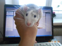 /album/fotogaleria/g-9-jpg/